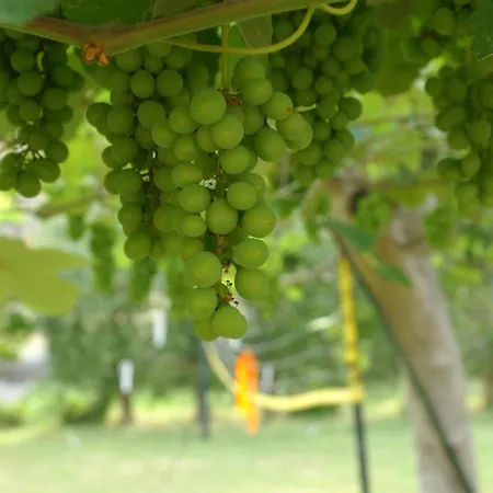 Geoglobe Σπίτι διακοπών