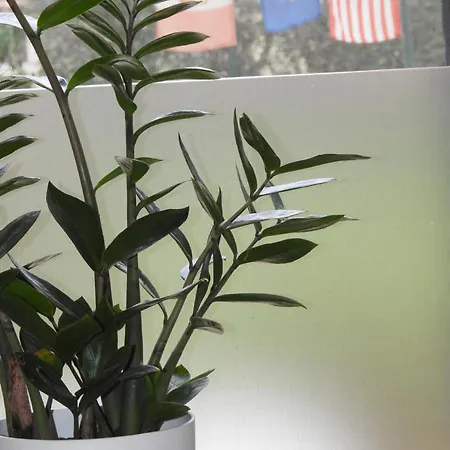 Geoglobe Σπίτι διακοπών