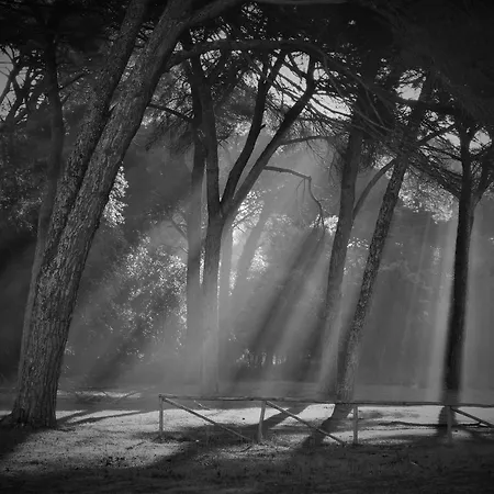 Geoglobe Casa vacanze *